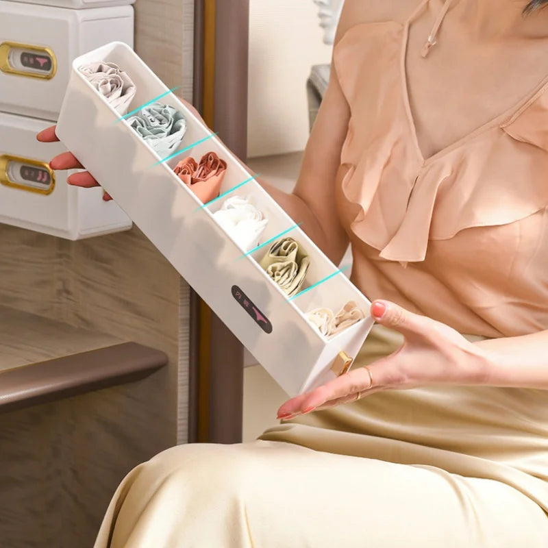 Household Wall Hanging Drawer Storage Box Bedroom Wardrobe Underwear Bra Socks Storage Artifact Save Space No Punching Required